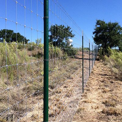 Ranch Fencing