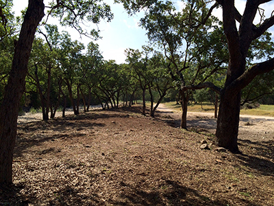 Brush and Cedar Clearing is what is needed in Texas Hill Country. notice no stumps - flattened and burned. NO Stumps this is attention to detail.